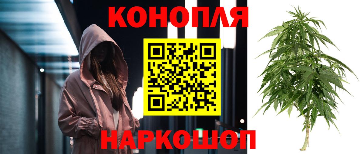 Бошки марихуана гибрид  Вход с VPN  Каннабис план  Пыть-Ях  Бошки марихуана сатива 